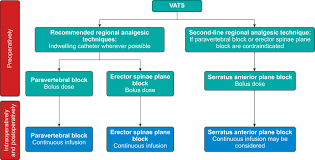 Image result for Intrapleural Anesthesia