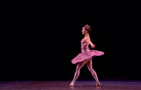 Simple to make, but very effective! Marianela Nunez S Alphabet F Lilac Fairy Marianela Nunez M Gif Gfycat