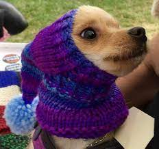 Chihuahua Hat Knit Warm Good Stretch Great Fit Snood Small Dog Hat Custom Made Dog Fashion Cute Hat Dog Hat Dog Sweaters Cute Hats
