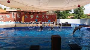 Dari jalur pantura hanya 10 menit menuju pantai ini. Batang Dolphins Center Kelas Jauh Taman Safari Untuk Wisata Edukasi Dan Rekreasi Ghozaliq Blog
