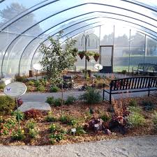It's a family passion planted when we were both young children enjoying our mothers' and grandmothers' gardens. Butterfly Garden Port Austin Chamber Of Commerce