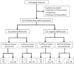Patient Flow Chart For Diagnosis Of Pleural Effusion