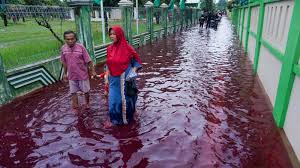 92 038 overstroming stock video clips in 4k and hd for creative projects. Overstroming Bij Batikfabriek Zorgt Voor Roodgekleurde Straten In Indonesie Nos