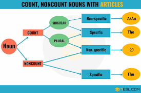 Articles With Countable And Uncountable Nouns Grammar