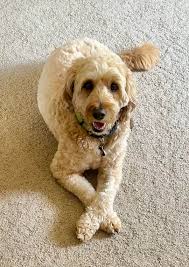 Remove noise from fireworks photo?