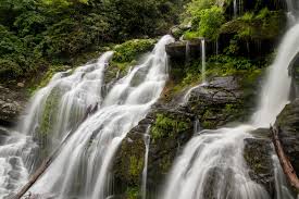 If you love to find waterfalls in western north carolina, the asheville area is the place for you! The Ultimate Guide To Hiking In Asheville Nc The Asheville Bed Breakfast Association Blog