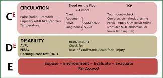 • external ('on the floor'). The Revision Of The Primary Survey A 2011 Review Journal Of Paramedic Practice