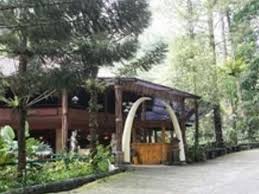 Puncak tea plantation and gunung gede pangrango national park reflect the area's natural beauty and area attractions include taman safari indonesia and de voyage bogor. Taman Safari Lodge Puncak Bandingkan Promo