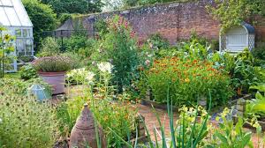 Nov 18, 2011 · bonnie, that sounds like a good idea to me. Kitchen Gardens 10 Steps To Start Your Own Vegetable Garden And What To Grow Real Homes