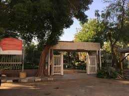 We did not find results for: Ø³Ù‚ÙŠÙØ© Ø¨Ù†ÙŠ Ø³Ø§Ø¹Ø¯Ø© Outdoor Structures Pergola Gazebo