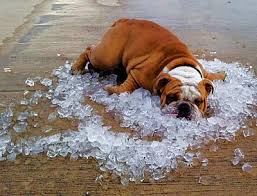 Heat gradually removes the body's reserves of sugar and salts, so that the longer a hot period lasts the sooner the heat stress can occur, and little extra heat is needed to set the heat stress off. 11 Reasons Why You Should Run Your Home S Central Fan Constantly Evergreen Home Heating And Energy