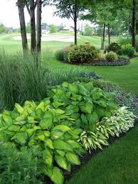 Shade Gardening Large Yard Landscaping Shade Garden Beautiful Gardens