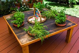 My home garden is placed a few minutes' drive from the sultan ahmed blue mosque. Diy Tabletop Cat Garden Home Family Video