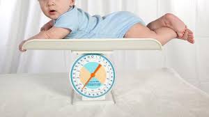 Selain asi ada beberapa merk susu formula bayi yang bikin gemuk. Jenis Makanan Bayi 7 Bulan Agar Cepat Gemuk Ibu Ayah