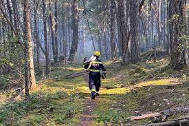 Maybe you would like to learn more about one of these? Multiple Fire Crews Called To Wildfire At Ecological Reserve North Of Ladysmith Nanaimo News Bulletin