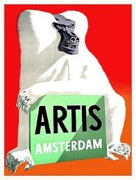 1947 Artis Zoo Amsterdam Baboon Poster By Retro Graphics Retro Graphics Retro Poster Arty
