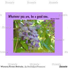 Wisteria Flower Attitude Quote Postcard Zazzle Com Attitude Quotes Postcard Flowers
