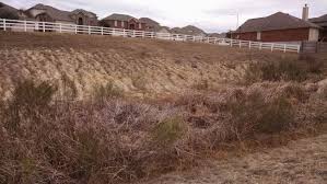 Developments adjacent to natural outfalls must dedicate drainage and/or. Stormwater Drainage Infrastructure Maintenance Guidelines And Faq New Braunfels Tx Official Website