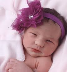 Search Daisy Terry Obituaries and Funeral Services