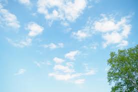 空と木のフリー写真素材 [1866] | フォトック