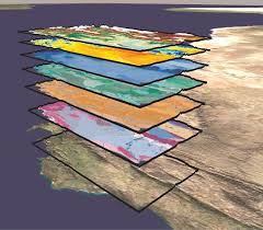 Image result for Panicum kalaharense