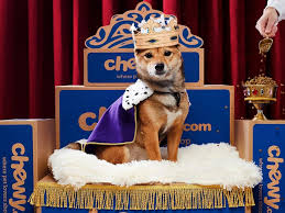 We did not find results for: Chewy Autoship How To Regularly Save 5 10 On Your Pet Supplies