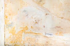 Below are some ways to prevent mold growth in carpets. Mold Behind Wallpaper Is It Common What Causes It And How To Remove It