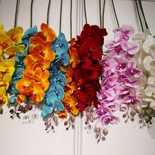 We did not find results for: Ifg White Phalaenopsis Artificial Flowers 9 Head Silk Orchids For Sale Buy Silk Orchids Silk Orchids Flowers Flowers Orchids Product On Alibaba Com