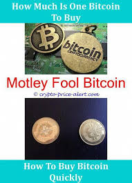 It has asked the government to come up with cryptocurrency regulation policies. Bitcoin Trend Cryptocurrency Real Time How To Sell Bitcoin For Usd Bitcoin Smart Contracts Best Cryptocu Best Cryptocurrency Cryptocurrency Trading Buy Bitcoin