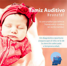 Dr. Julio Cesar Mosqueda Lujan.