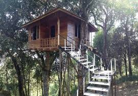 Tree House Picture Of Nature Zone Jungle Resort Munnar Tripadvisor
