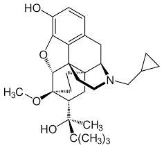 We did not find results for: Buprenorphin Wikipedia