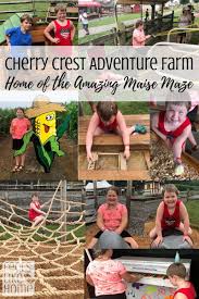 Cherry Crest Adventure Farm Review Lancaster Pa Attraction For Families And Kids Includes One Of The Best Corn Maze Adventure Farm Adventure Park Adventure