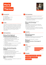 The finance department of the company manages the money and other financial transactions needed and done by an organization. Finance Account Manager Resume Sample Kickresume