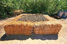 We did not find results for: A Compost Bin Made With Bales Of Hay Diy Compost Compost Bin Compost