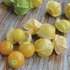 Recipe Grandma Ott S Ground Cherry Jam Recipe Ground Cherry Recipes Recipes Cherry Jam Recipes