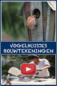 Vogelhuisjes Maken Van Hout Voor In De Tuin Vogelhuisje Vogelhuisjes Vogelhuisjes Diy