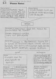 Worksheets are name date period cell membrane coloring work cell transport work cell ebrate science without work how well do you know your cells amazing cells build a membrane the cell organelle work. 7 1 Life Is Cellular Answer Key Worksheets For Dragonfly Textbook Biology 7 1 Life Is Cellular Worksheet Flashcards Quizlet Isd 2135 Maple River Schools Homepage Biology 7 1 Life Is