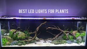 No matter if you are a novice or experienced aquarists, keeping up with the latest trends can be difficult with led technology evolving so fast. Best Led Aquarium Lighting For Plants 10 Led Lights For Planted Tank