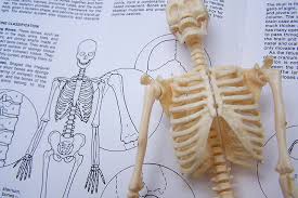 We did not find results for: Jangan Pusing Ini Contoh Soal Uts Biologi Kelas X Beserta Pembahasannya