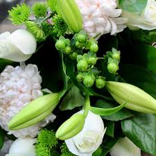 We did not find results for: Home Jong Young Flower Market