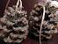 Rustic Pine Cone Ornaments