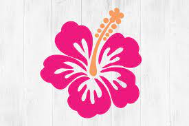 Hawaiian Flower Svg Hibiscus Svg Hawaii Flower Flower Tropical Flo By Twingenuity Graphics Thehungryjpeg Com Large png 2400px small png 300px. hawaiian flower svg hibiscus svg