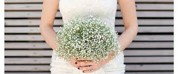 Baby S Breath Elbows Its Way Into Bouquets Macleans Ca
