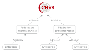 Nous Rejoindre Cnvs