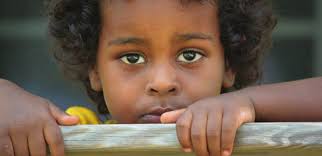 Fiscal Year 2015 Annual Report