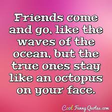 Quotes funny but true facts about friendship. Friend Quotes Cool Funny Quotes