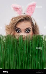 Easter bunny costume hi-res stock photography and images