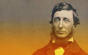 Image result for henry david thoreau