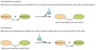 Is Water An Organic Compound Or Inorganic Compound? - Youtube
